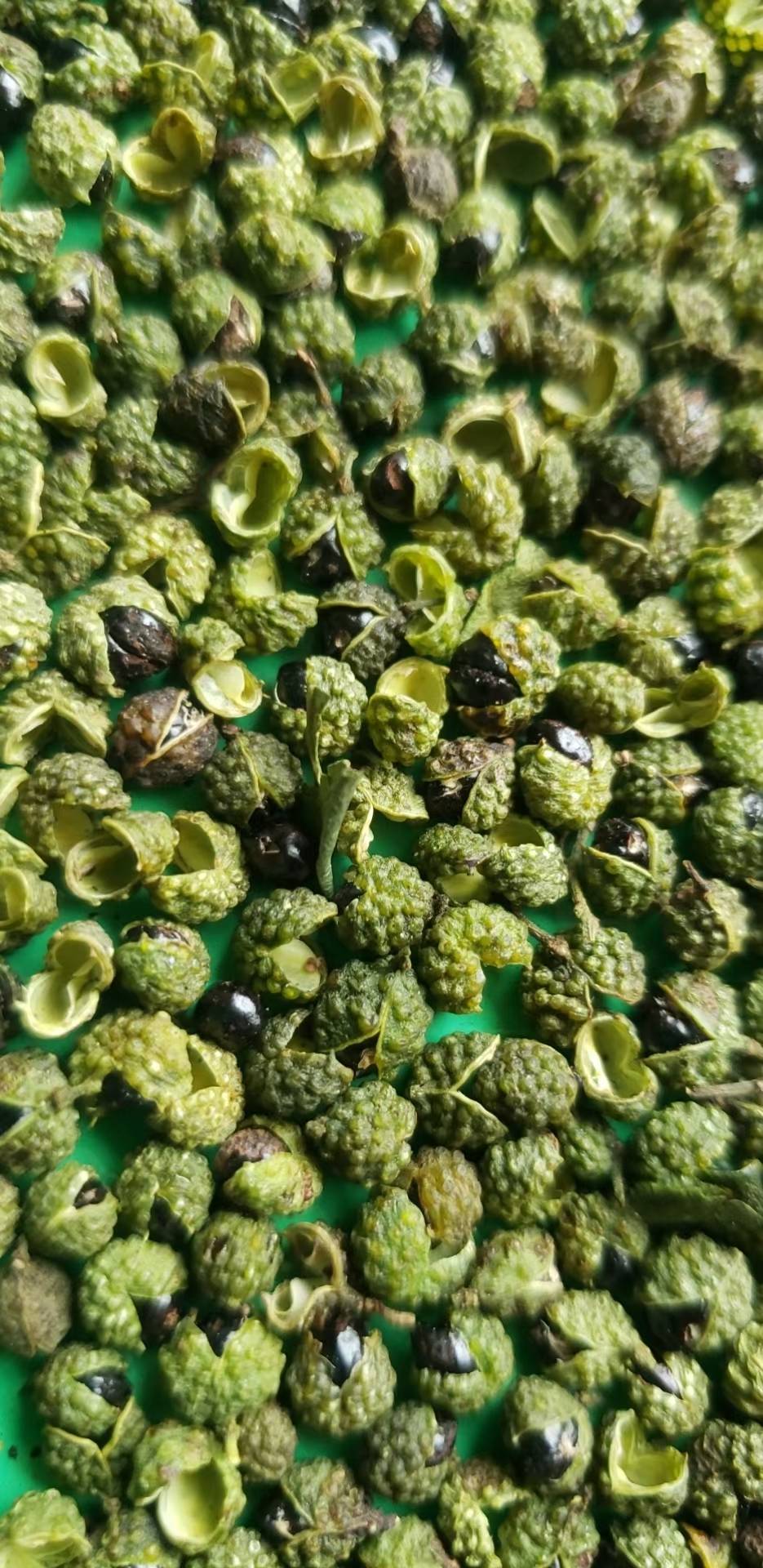 百味香料