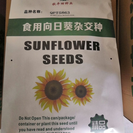 固阳县QFT5863葵花  食用向日葵