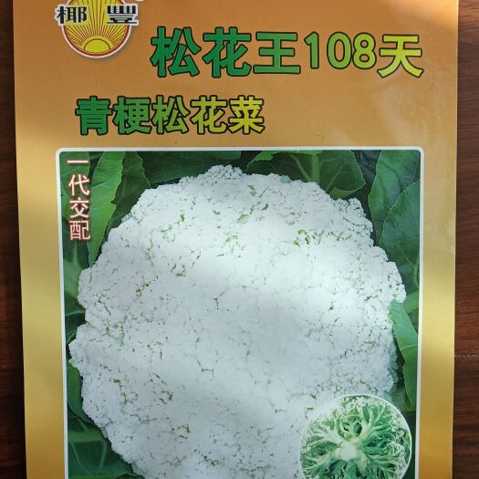 榆中县松花菜种子 松花王100天