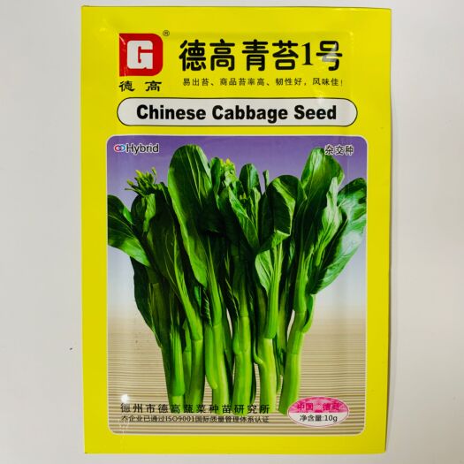 白菜苔种子  菜苔种子广东四九菜心种子红菜苔白菜苔四季蔬菜种