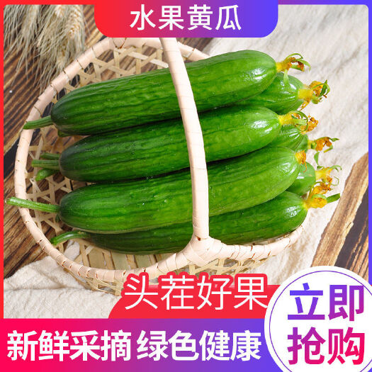 潍坊黄瓜水果黄瓜【疯狂热销中现摘现发】新鲜无刺水果小黄瓜当季蔬
