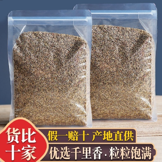 千里香500g九里香百里香莳萝籽火锅卤菜香料 天然增香调味
