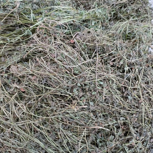 金钱草小叶铜钱草全干零添添加、清热利湿通淋