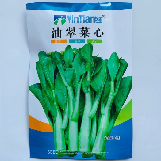甜菜心种子  红菜苔白菜苔种子四九菜心油绿菜心绿菜苔种子新种