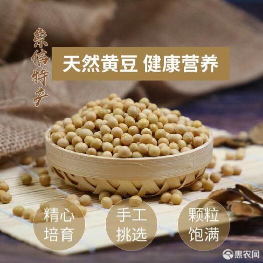 崇信县黄大豆 崇信特产 天然黄豆 健康营养 精心培育 手工挑选 颗粒饱满