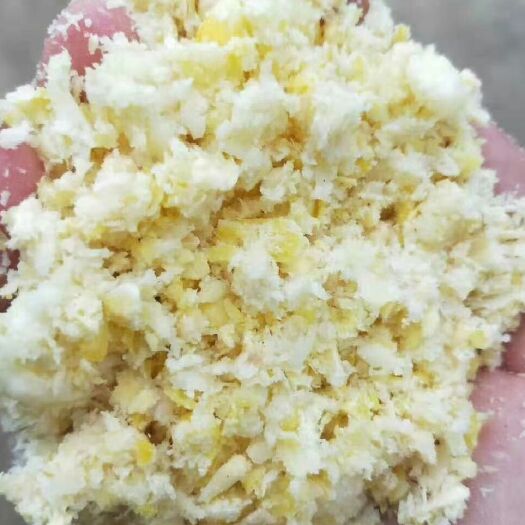 天津玉米渣  整根粉碎玉米   密封包装