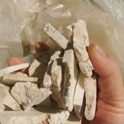 藤县白茯苓 农家茯苓