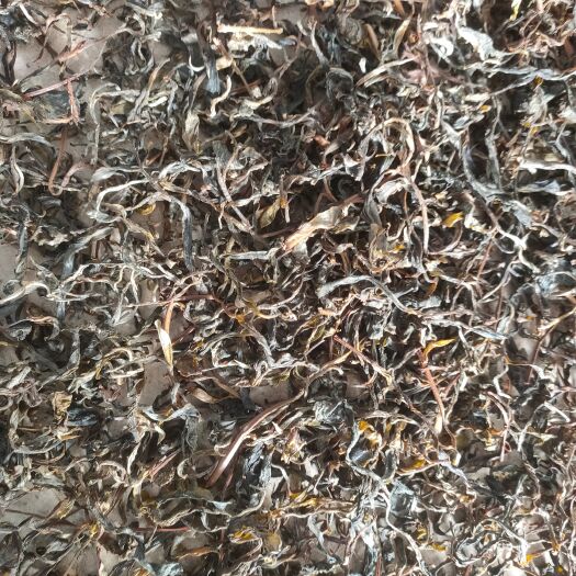 绿春县纯手工制作，绿茶杀青中。量大从优。