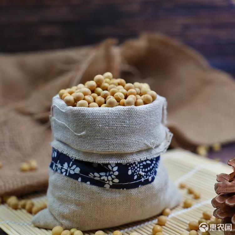 黄大豆 崇信特产 天然黄豆 健康营养 精心培育 手工挑选 颗粒饱满