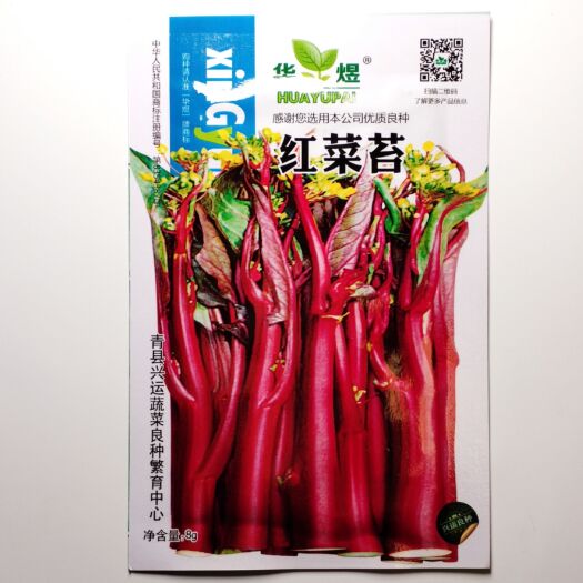 红菜苔种子红菜苔种子白菜苔种子油绿甜脆菜苔种子