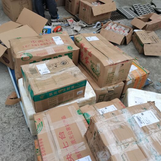 都匀市灵芝菌种 优质菌种，售后技术服务跟踪，后期产品回收