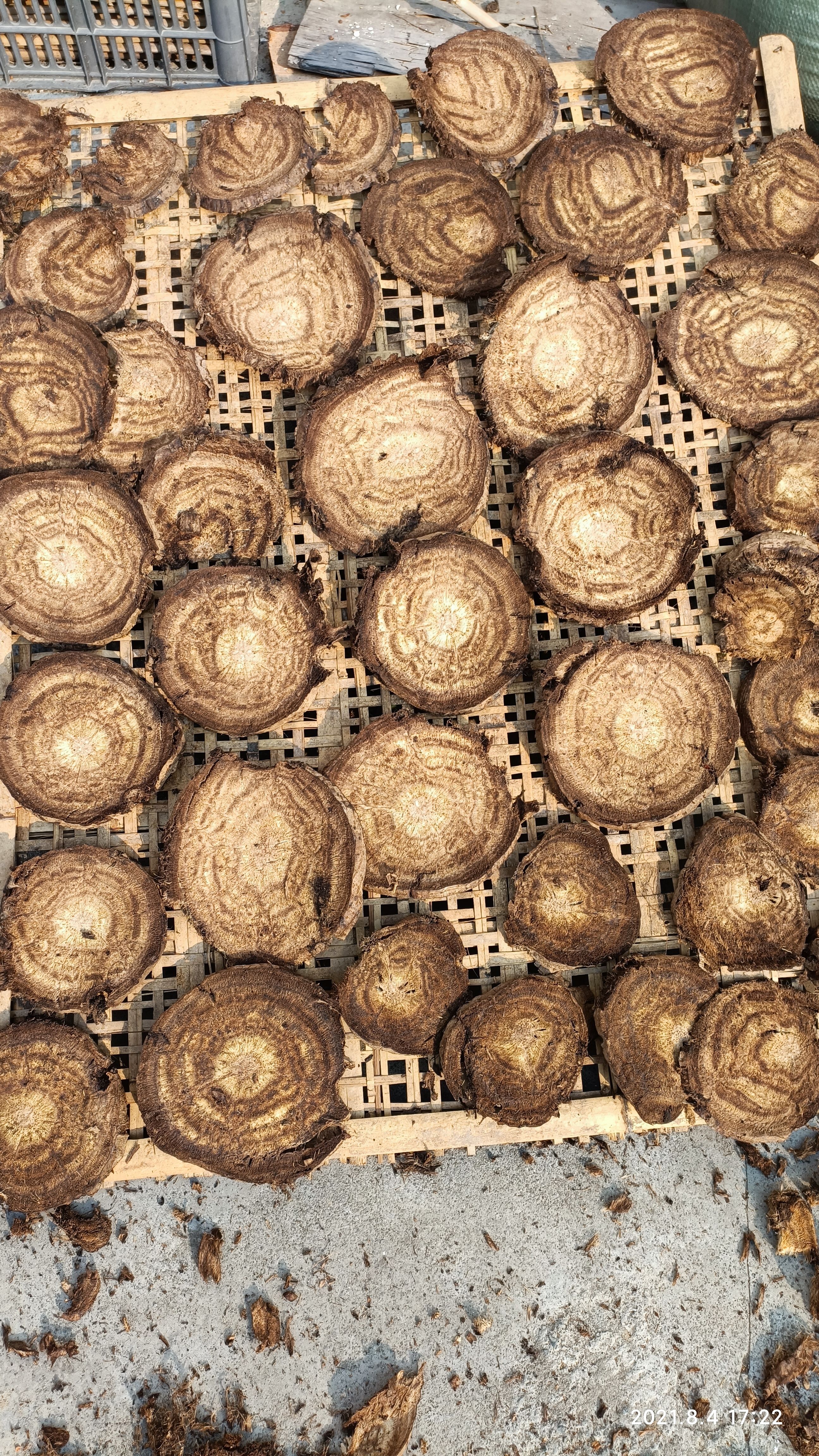 野生葛根 葛根片葛根丁