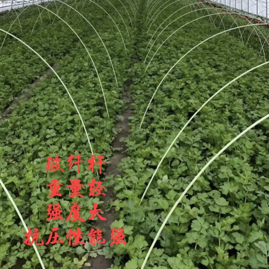 荥阳市小拱棚杆 大棚杆 碳纤维杆棒玻璃纤维实心农用家用
