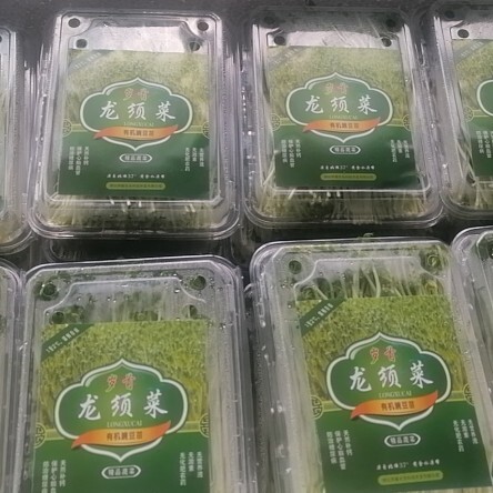 邢台豌豆苗 