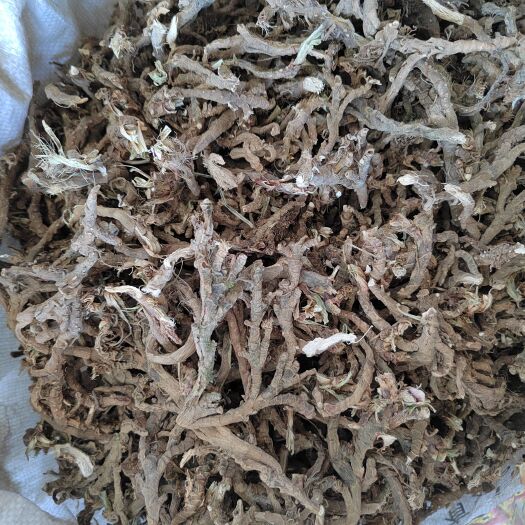五峰县 石菖蒲根正宗石菖蒲