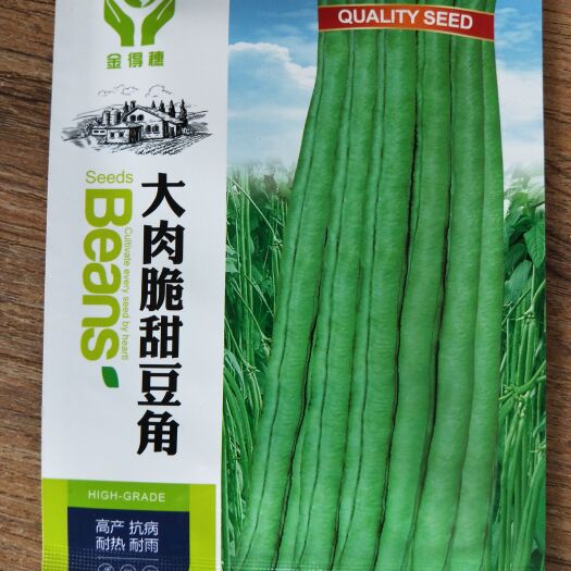 南宁【大肉甜豆角种子】厚肉豆角本地豆角四季蔬菜，阳台，露天，高产