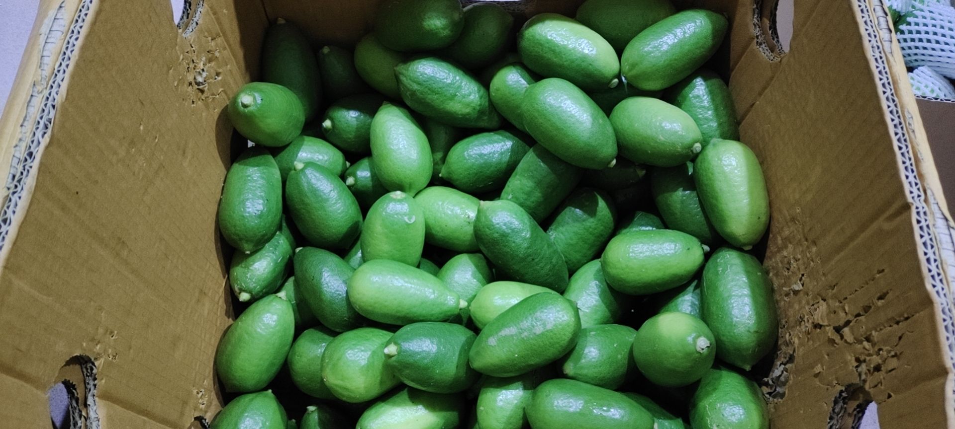 海南香水柠檬，一级果