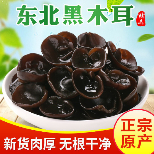 涉县【小碗木耳】东北黑木耳干货包邮野生碗耳肉厚农家土特产无根木