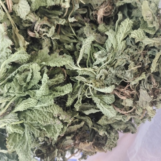 临沂蛤蟆草电商专用水洗无泥当年新货颜色青绿质量特好！临沂产地直销