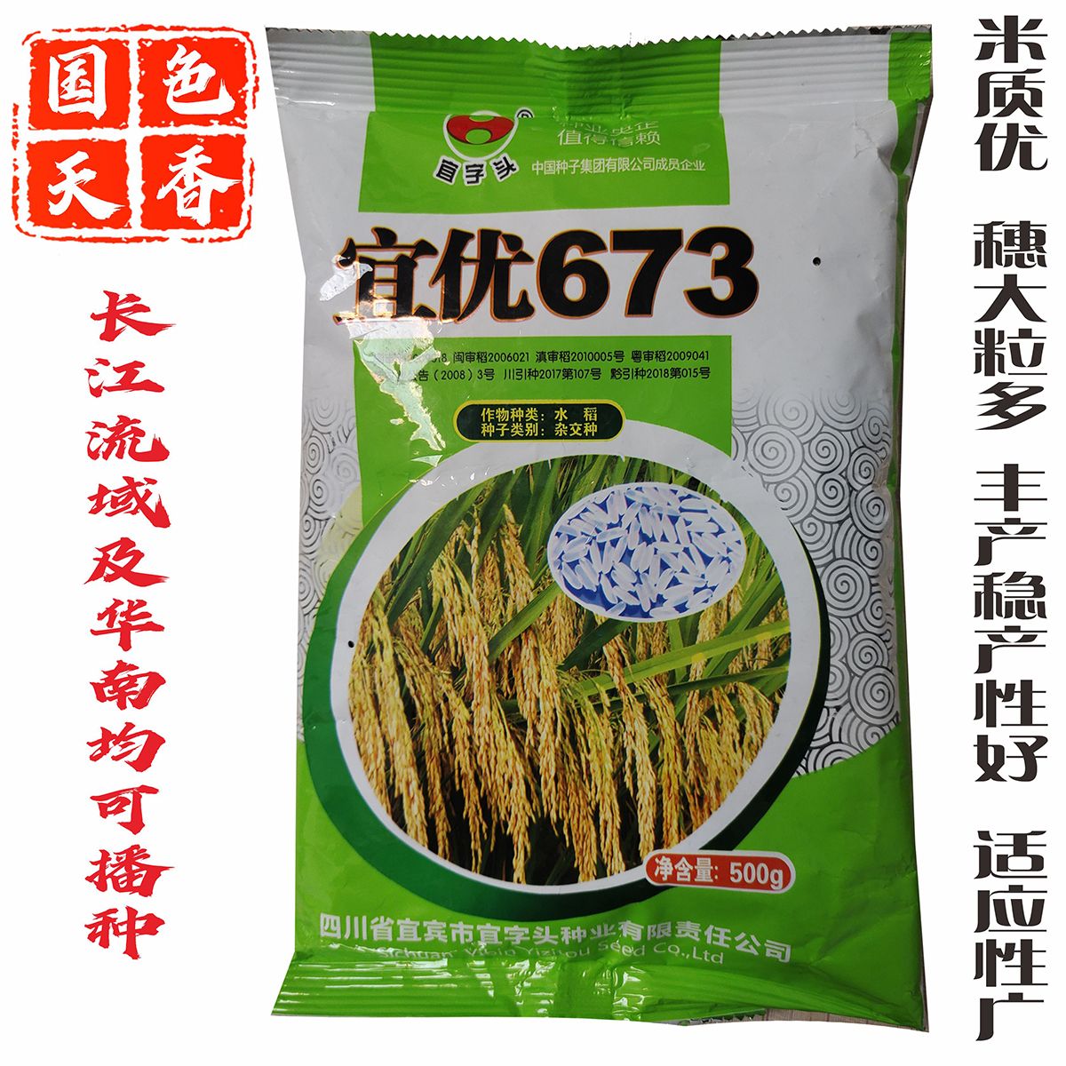 成都超级稻水稻种子香米中晚稻优质软米杂交籼稻香稻国色天香