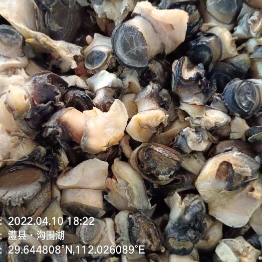 澧县石螺肉 弹性足！无杂质！
