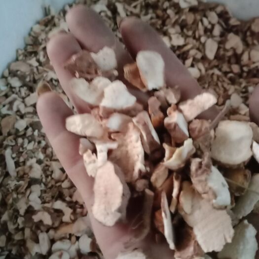 湖南耒阳市土茯苓过筛干片，本地山货白肉粉质。