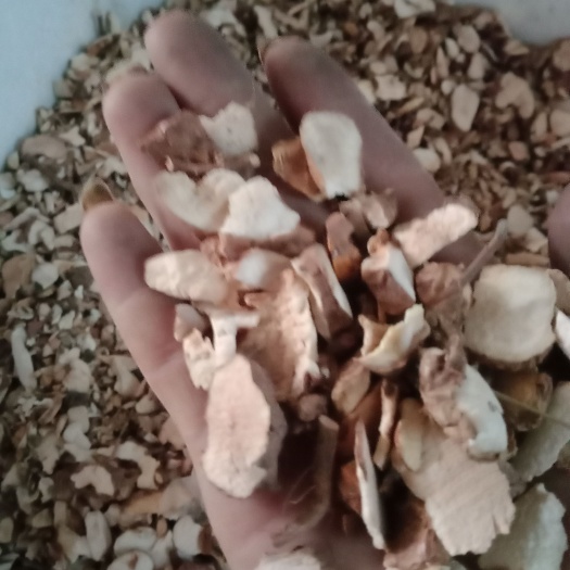 耒阳市土茯苓过筛干片，本地山货白肉粉质。