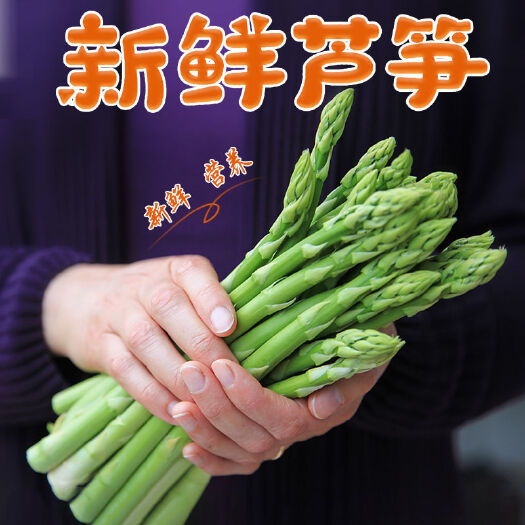 潍坊芦笋【现采现发】农家新鲜芦笋蔬菜绿芦笋去除老根春笋龙须菜蔬
