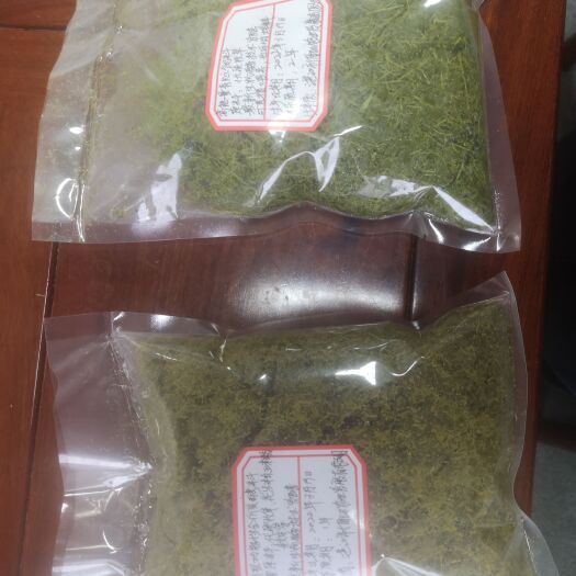 遂溪县高能量青贮饲料～养猪必看