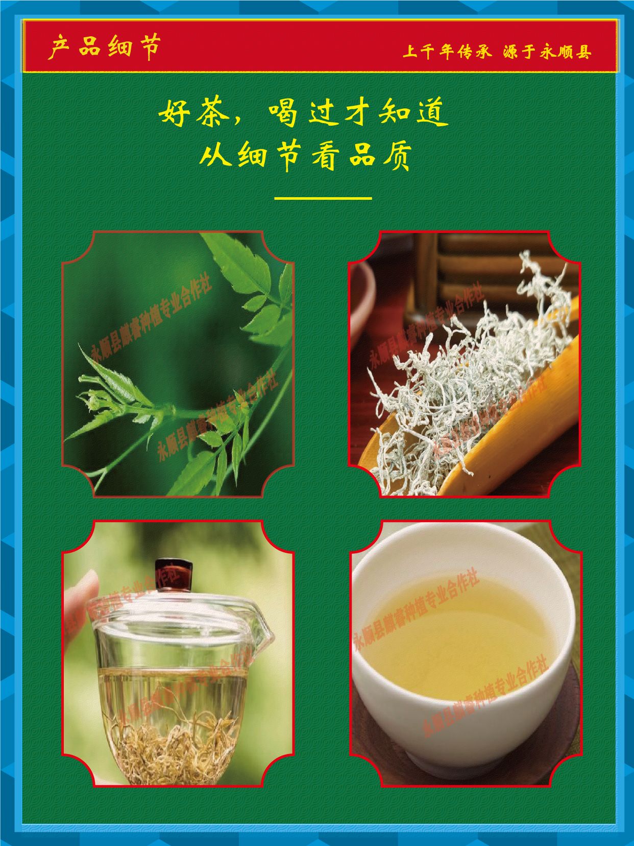 永顺莓茶【清明茶】