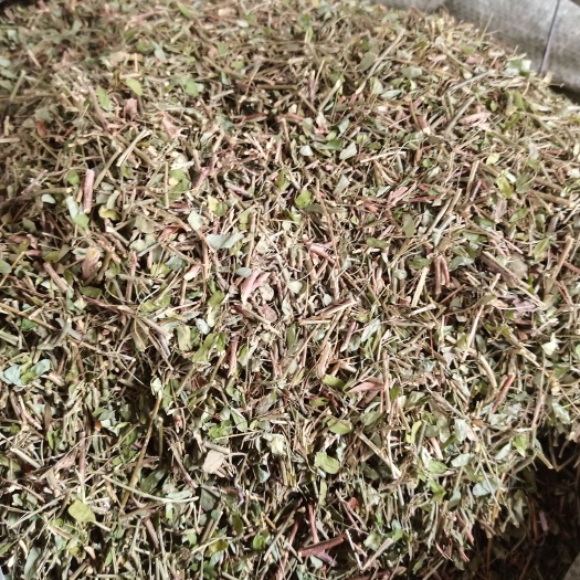 玉林甜鸡骨草