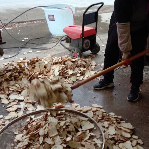 织金县蛇莲/罗锅底/苦金盆/雪胆