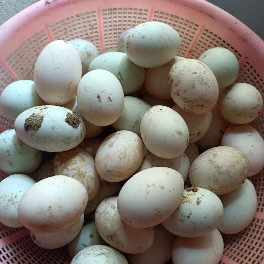 湘乡市 农家土鸭蛋