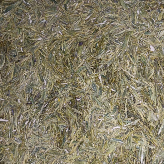 建德市龙井茶 春茶