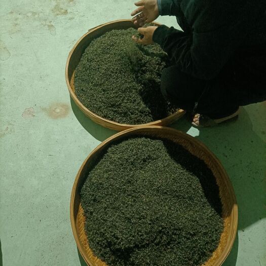 上犹县毛尖茶 生态茶