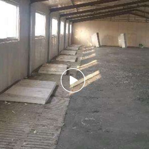 养殖大棚 养殖种植大棚坚固耐用抗风防雨防腐蚀保雪保温私人订制