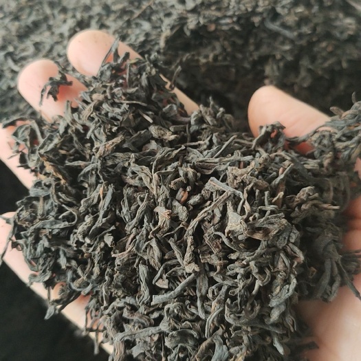 南宁广西梧州苍梧六堡茶   因疫情生意不好特批批发价