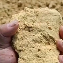 石家庄玉米渣（柠檬酸渣）