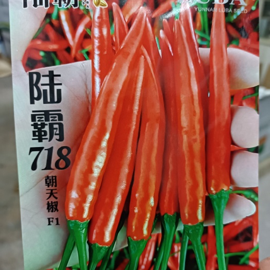 商丘艳红辣椒种子  陆霸718，中熟，果硬耐老