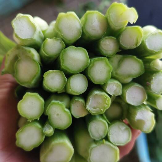 上海清炒伴侣 油菜苔