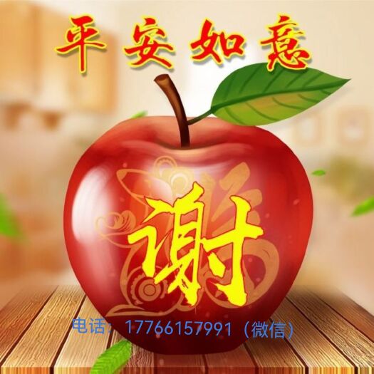 沭阳县金镶玉竹苗，各种规格齐全，全是批发价欢迎来电咨询