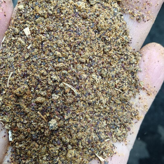 合肥菜粕，供应菜粕
