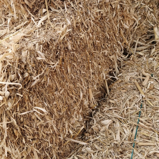 鸡泽县玉米秸秆 牛 羊 马 