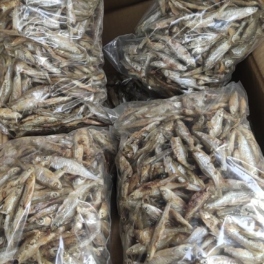 钦州刁子鱼干 好吃价格便宜实惠