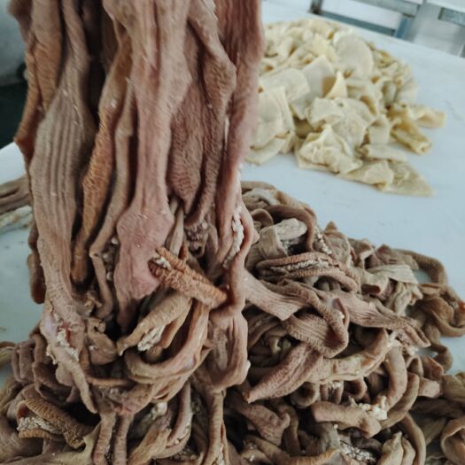 阳信县牛肠 牛小肠（半成品）  抛开牛小肠