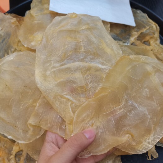 广州花胶 越南蜘蛛片、25头规格 鲜胶晒的剖工一流足干脆腥味淡汤水清润