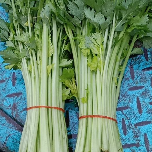 香芹 精品药芹！药芹！欢迎各位商超，食堂！供应商电联！