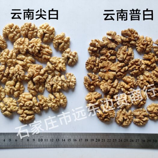 赞皇县云南 尖白普白核桃仁，需要的来吧！