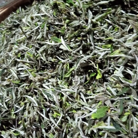 福安市白牡丹茶 高山白茶荒野老枞白茶