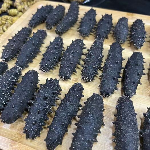 绿刺参 40头大连辽参满天星六排刺大连刺参